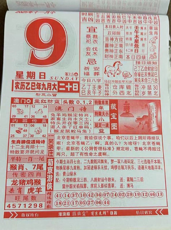 2025年11月9日.九月二十，星期日2025年11月9日.九月二十，星期日