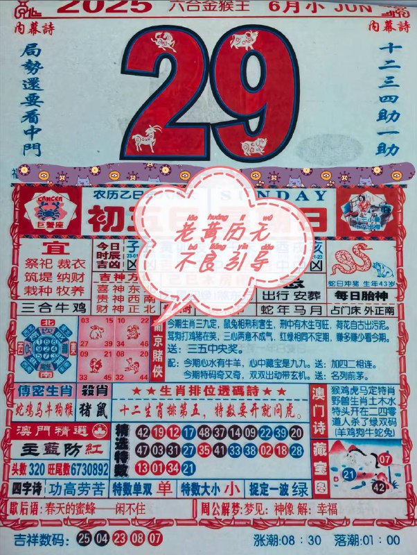 2025年6月29日，六月初五，星期日2025年6月29日，六月初五，星期日