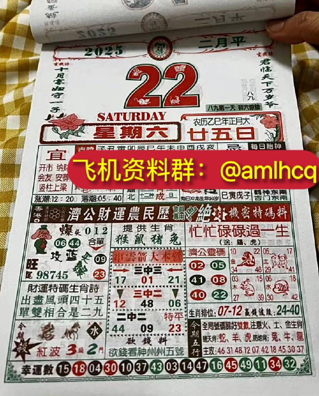 2025年2月22日 正月二十五，星期六2025年2月22日 正月二十五，星期六