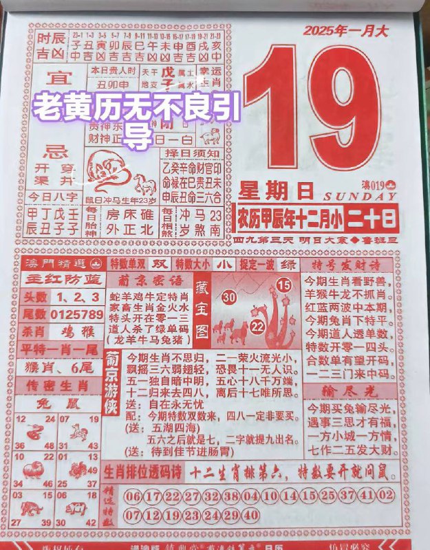 2025年1月19日农历腊月二十星期日🗓️日历图2025年1月19日农历腊月二十星期日🗓️日历图
