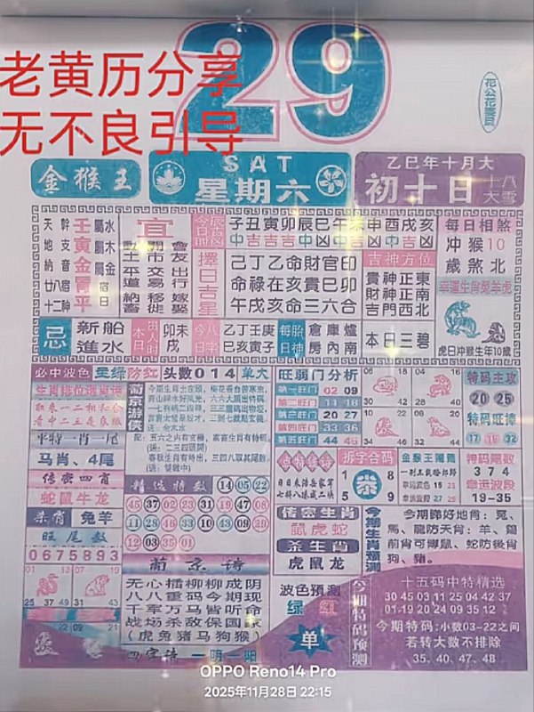 2025年11月289日.十月初十，星期六2025年11月289日.十月初十，星期六