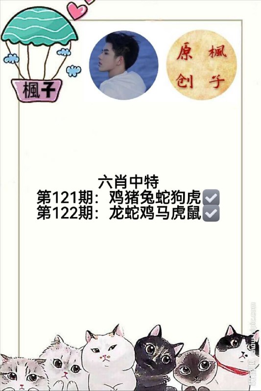 香港枫子香港枫子