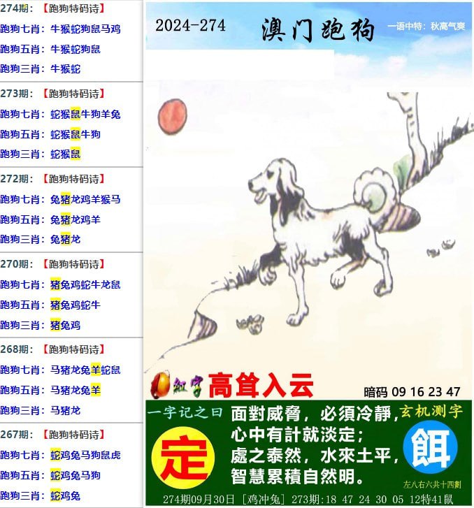 七肖七肖