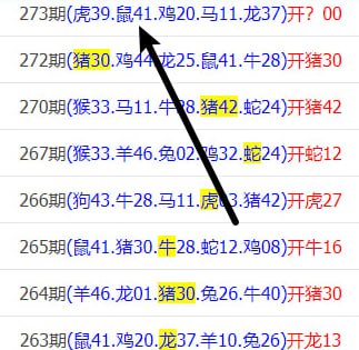 中肖中码两期了