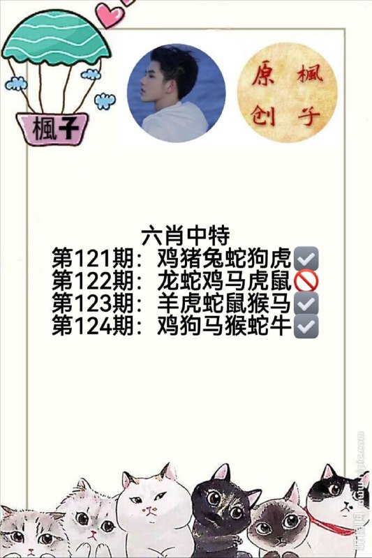 香港枫子香港枫子