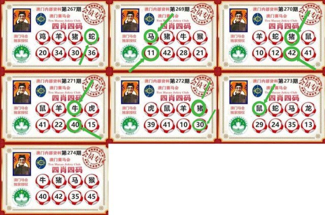 一肖猪稳了，今晚一码 42 